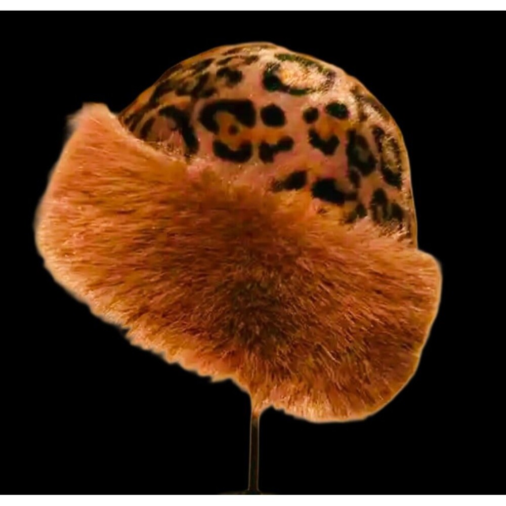 Mongolian Faux Fur  Hat with Leopard Print